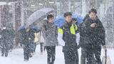 【大雪情報】桧枝岐148センチ、只見71センチ、福島9センチの積雪 JR一部で運休、バスは混雑…夕方にかけ会津で『警報級の大雪』おそれ【25日正午更新】 | 福島のニュース│TUF