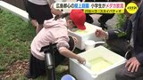 都心の屋上庭園「スカイパティオ」で小学生がメダカを放流「元気で力強く育って」　|　RCC NEWS | 広島ニュース | RCC中国放送