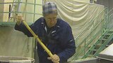 酒造会社でイスラエル人の男性が清酒造りを研修 大分・臼杵市 | 大分のニュース|OBS NEWS|大分放送