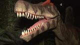 本物の恐竜の化石に触れられる「タッチザダイナソー」展 発掘体験も|TBS NEWS DIG