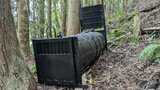 【続報】クマに襲われ死亡 山菜採りの46歳男性「タケノコ採りで竹やぶに入ったら…」70歳男性もけが 大町市八坂の山林 長野|TBS NEWS DIG