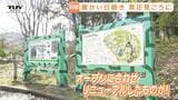 【後編】大学生たちがリニューアルしたものとは？ 山形市野草園がオープン　春を探しに出かけてみては？（山形）|TBS NEWS DIG