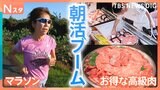 涼しい朝の時間を有効活用!早朝マラソンに、朝から写経!早く並べばお得になる裏技も いま朝活がブーム!そのワケを調査【それスタ】|TBS NEWS DIG