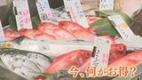 「安定して生のマグロが入荷」今お買い得な海の幸は? 一方、生食用カキやサケは不漁 山梨・綿半スーパーセンター万力店|TBS NEWS DIG