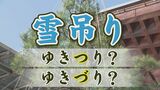 雪吊りは「ゆきつり？」「ゆきづり？」どっちなの？？各局アナウンサーが言葉についてざっくばらんに意見交換　|　石川県のニュース｜MRO北陸放送