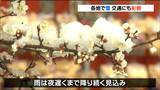 仙台で積雪5センチ”紅梅”に雪も 低気圧の影響 | 宮城のニュース│tbc NEWS│tbc東北放送