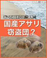 [特集] 品薄の国産アサリ450キロ盗難か…福岡の漁協が被害届|TBS NEWS DIG