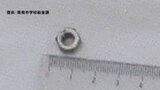 直径１センチほどの金属製のナットが給食の「とうふ汁」に混入　健康被害なし|TBS NEWS DIG