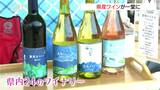 どれを飲む？県内産ワイン一堂に・諏訪市で「長野ワインフェスティバル」初開催|TBS NEWS DIG
