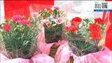 「届いたころに花が咲く温度調節栽培」カーネーションのゆうパック発送始まる 宮城・柴田町|TBS NEWS DIG