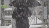 10日夜遅くかけて青森県下北地方に警報級の大雪の可能性も　交通障害や屋根からの落雪などに注意・警戒を　|　青森のニュース│ATV NEWS│青森テレビ