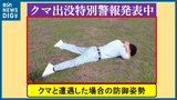 クマから身を守るためにどうすればよいのか 過去には1月に「人身被害」の例も 『クマ出没特別警報』発表中 新潟県|TBS NEWS DIG