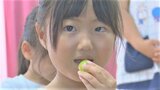 「もったいない」 食べられるのに販売できないブドウが1トンも! 規格外でも味は変わらず 園児がフードロスを学ぶ 山梨市 | 山梨のニュース | UTYテレビ山梨