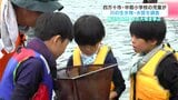 「エビをとるところが楽しかった」児童が川の生き物・水質を調査　身近な自然・水の大切さ学ぶ【高知・四万十市】|TBS NEWS DIG