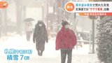 師走に入り列島各地で冷え込み 北海道では今季初の暴風雪警報の地域も 明日以降も全国的に寒く|TBS NEWS DIG