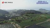 約800枚の棚畑を見下ろす展望台を空から【長崎ばーどアイ 雲仙市・棚畑展望台】 | 長崎のニュース | 天気 | NBC長崎放送