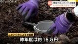 相次ぐ農作物被害 ニホンジカ対策は雌個体の捕獲がポイント 富山市で自治体や猟友会向けの研修会|TBS NEWS DIG