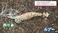 漁船の安全や地域の負担にも直結…　宮崎の漁港に相次ぐごみポイ捨て　景観と環境を守る第一歩とは？　|　MRTニュース ｜ ＭＲＴ宮崎放送
