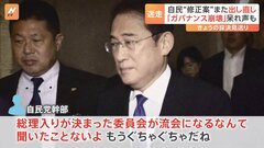 また…3度目の修正案　自民党内から呆れ声「ガバナンス崩壊」「もうぐちゃぐちゃだね」 政治資金規正法改正めぐり| TBS CROSS DIG with Bloomberg