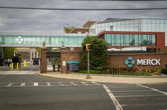 米メルク、中国企業から肥満症薬候補のライセンス取得－最大20億ドル| TBS CROSS DIG with Bloomberg