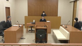 園児虐待の保育士に拘禁刑2年執行猶予4年の判決|TBS NEWS DIG