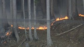 大槌城山公園から中継　山林火災発生から3日目　岩手|TBS NEWS DIG