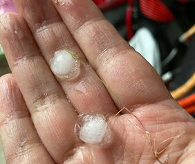 ひょうや強風で1億8000万円余の農業被害　果樹被害が多く…リンゴやナシ、ブドウなど　21日夕方は最大1センチほどのひょうが5分程度降った地域も　長野県|TBS NEWS DIG