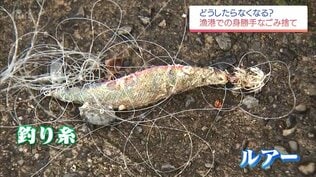 漁船の安全や地域の負担にも直結…　宮崎の漁港に相次ぐごみポイ捨て　景観と環境を守る第一歩とは？　|　MRTニュース ｜ ＭＲＴ宮崎放送