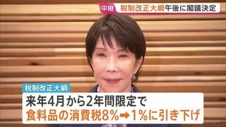 税制改正大綱を閣議決定へ　食料品消費税1%に引き下げなど　財源は「赤字国債に頼らない」と強調も確保の具体化は年末に持ち越された形| TBS CROSS DIG with Bloomberg
