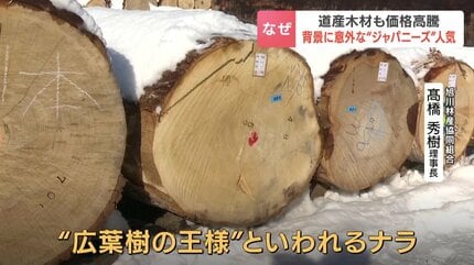 なぜ？丸太1本が460万円…北海道産「マカバ」に高値 国産材の高騰続く