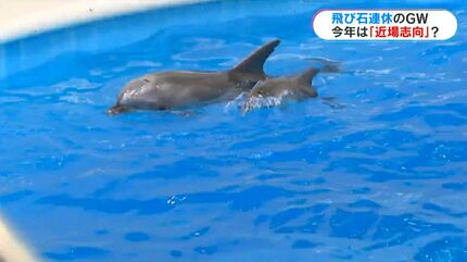 イルカショー再開のかごしま水族館にぎわう「飛び石連休」で外出は近場