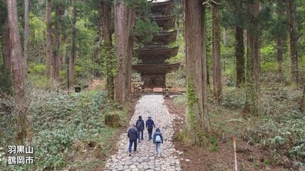 山形県出羽三山羽黒山御利益品プロ作家アート工芸品木目美しい茶さじ靴べら茄子形 歩いてしか行けない”茶屋 修験の山1300段の先に「名物店主」と「名物