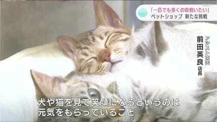 うちのこ肖像画　売り上げの一部を地元の犬猫保護団体に寄付させて頂きます うちのこ肖像画 売り上げの一部を地元の犬猫保護団体に