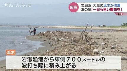人の手ではどうにもできない」海開きの海水浴場に大量の流木が…地元