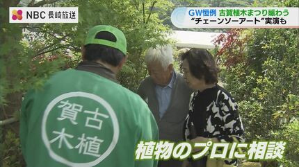 ゴールデンウィーク恒例！400年の伝統を楽しむ「古賀植木まつり」開幕