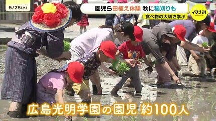 園児たちが住宅地で田植え「足元がうまっている！」泥んこ体験から学ぶ