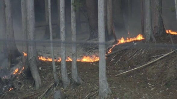 延焼拡大の現場近くから中継　山林火災発生から3日目　岩手・大槌町　|　IBC NEWS | IBC岩手放送