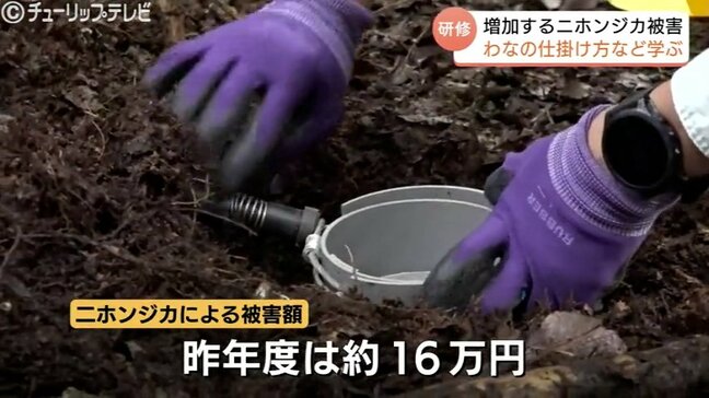 相次ぐ農作物被害　ニホンジカ対策は雌個体の捕獲がポイント　富山市で自治体や猟友会向けの研修会|TBS NEWS DIG