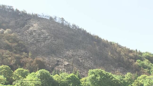 【速報】広島・福山市の山火事が「鎮火」 発生から3日目 約15ヘクタールを焼く|TBS NEWS DIG