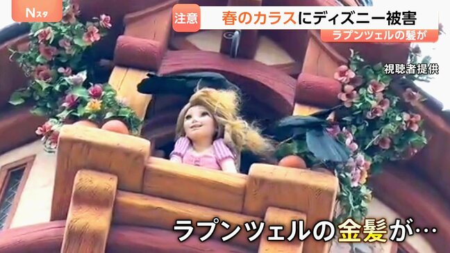 春のカラスに要注意！新幹線が止まり、ディズニーシーでも…　巣づくりで停電も　年に数万件撤去も対策追いつかず　今後はヒナ守る“攻撃”も|TBS NEWS DIG