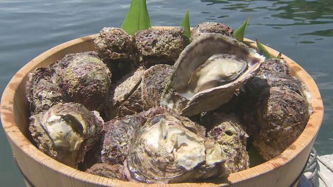 日豊海岸岩ガキまつり　9日から大分と宮崎で開催　18店舗でオリジナルメニュー提供|TBS NEWS DIG