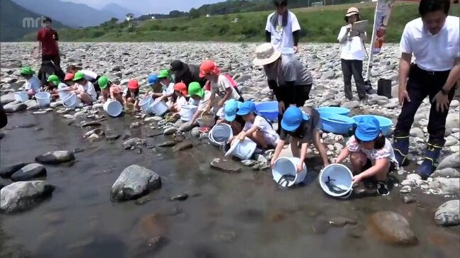 ウナギの資源保護に理解を深めて 日向市の耳川で子どもたちがウナギの放流体験|TBS NEWS DIG