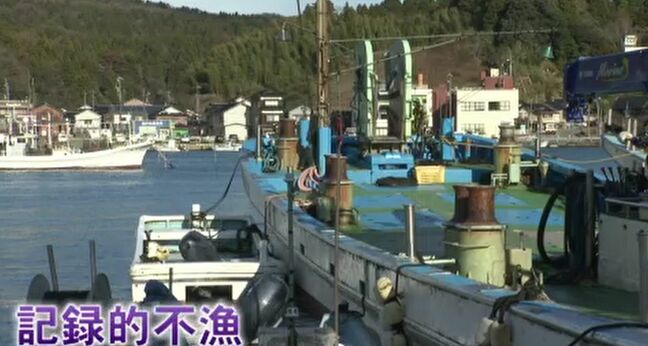 「ブリはきょう市場に一本だけ」冬の味覚 “寒ブリ” 石川では記録的不漁 前年のわずか3割にとどまる|TBS NEWS DIG