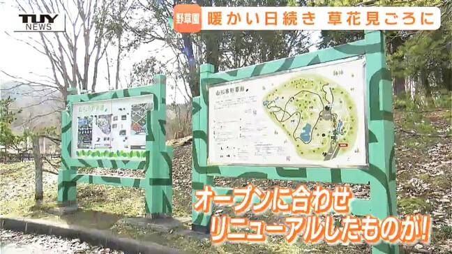 【後編】大学生たちがリニューアルしたものとは？ 山形市野草園がオープン　春を探しに出かけてみては？（山形）|TBS NEWS DIG