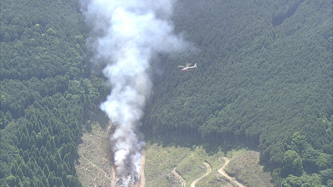 福岡県久留米市の山林火災　自衛隊に災害派遣を要請　「飛び火して拡大傾向にある」|TBS NEWS DIG