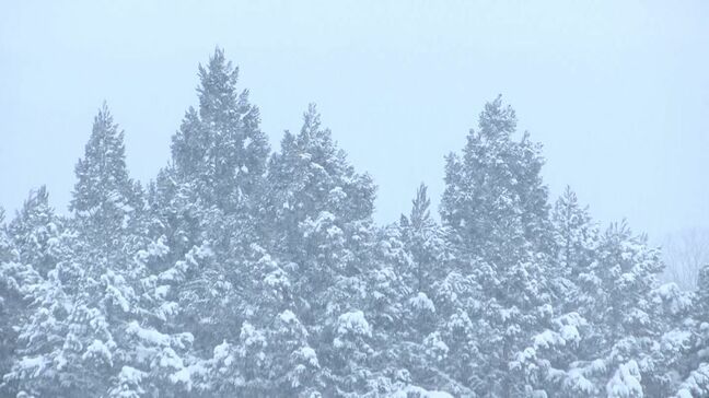 岡山・香川は多くの地点で氷点下 今季最低気温の寒い朝 蒜山は一面の雪景色【岡山】|TBS NEWS DIG