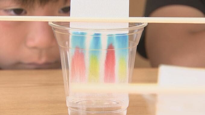 身近な食材で抗酸化作用を調べよう　科学のプロが教える夏休みの簡単自由研究　|　大分のニュース｜OBS NEWS｜大分放送