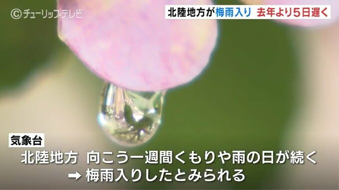 北陸地方が梅雨入り　平年並みで去年より５日遅く　向こう１週間天気ぐずつく　富山|TBS NEWS DIG