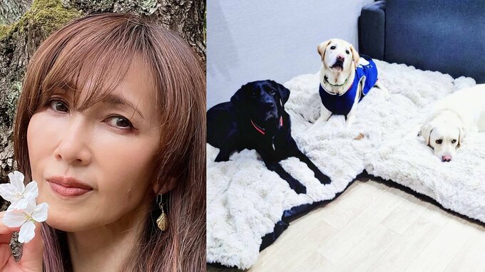 【工藤静香】ファンと共にライブ・ディナーショーのグッズ売上を寄付 犬たちの支援に　日本補助犬協会から感謝状|TBS NEWS DIG