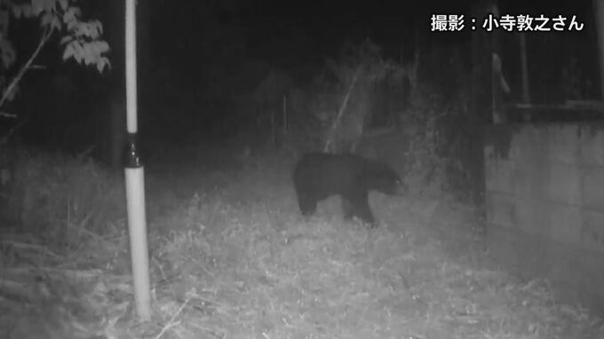 「人間の警戒のレベルは上げる段階にきた」東京・八王子市で“クマ対策プロジェクトチーム”始動　市内の地形など特徴ふまえたマニュアル作り|TBS NEWS DIG